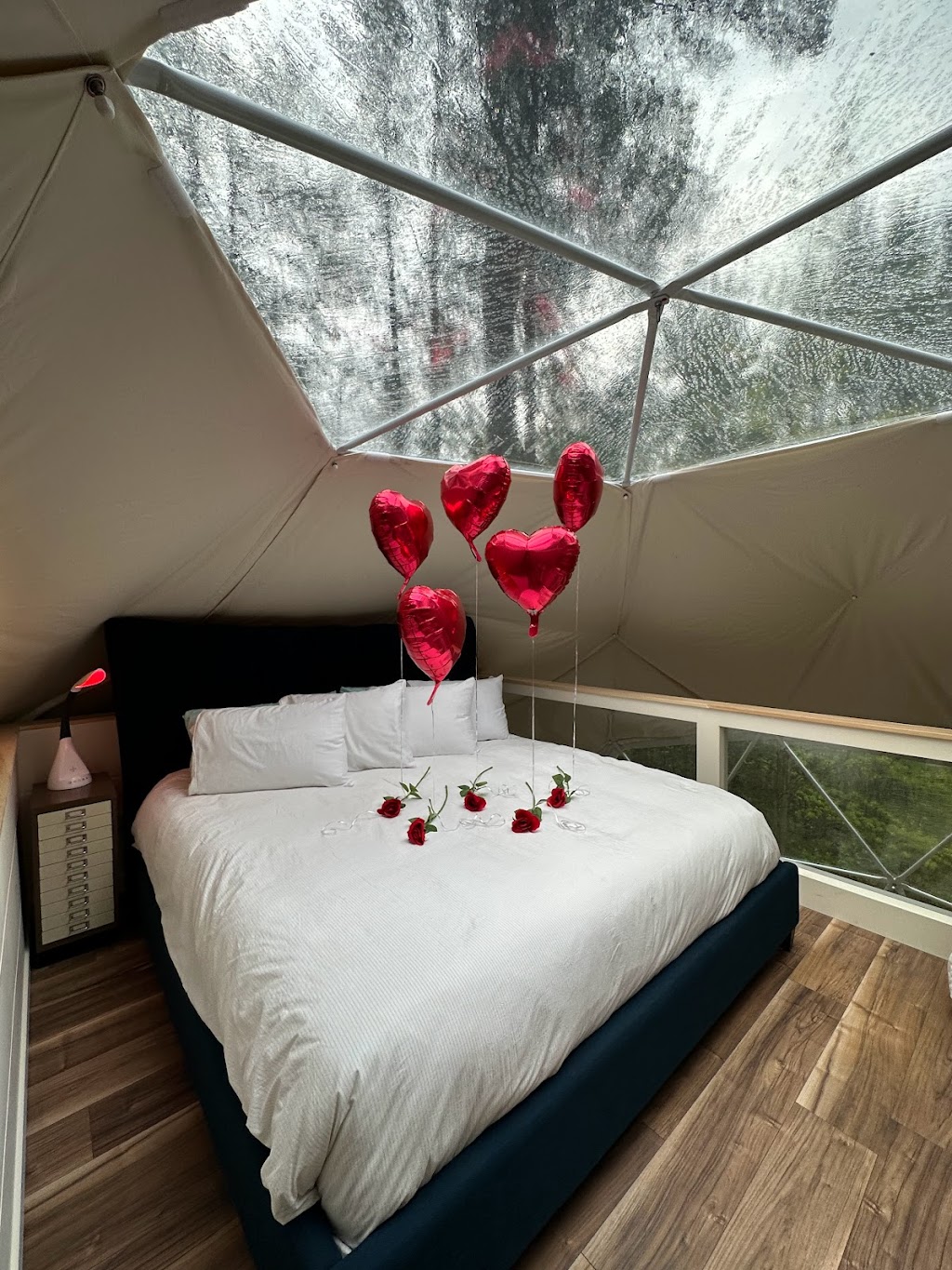 Muskoka Dome | 1010 Peterson Rd, Bracebridge, ON P1L 1X1, Canada | Phone: (705) 323-2797