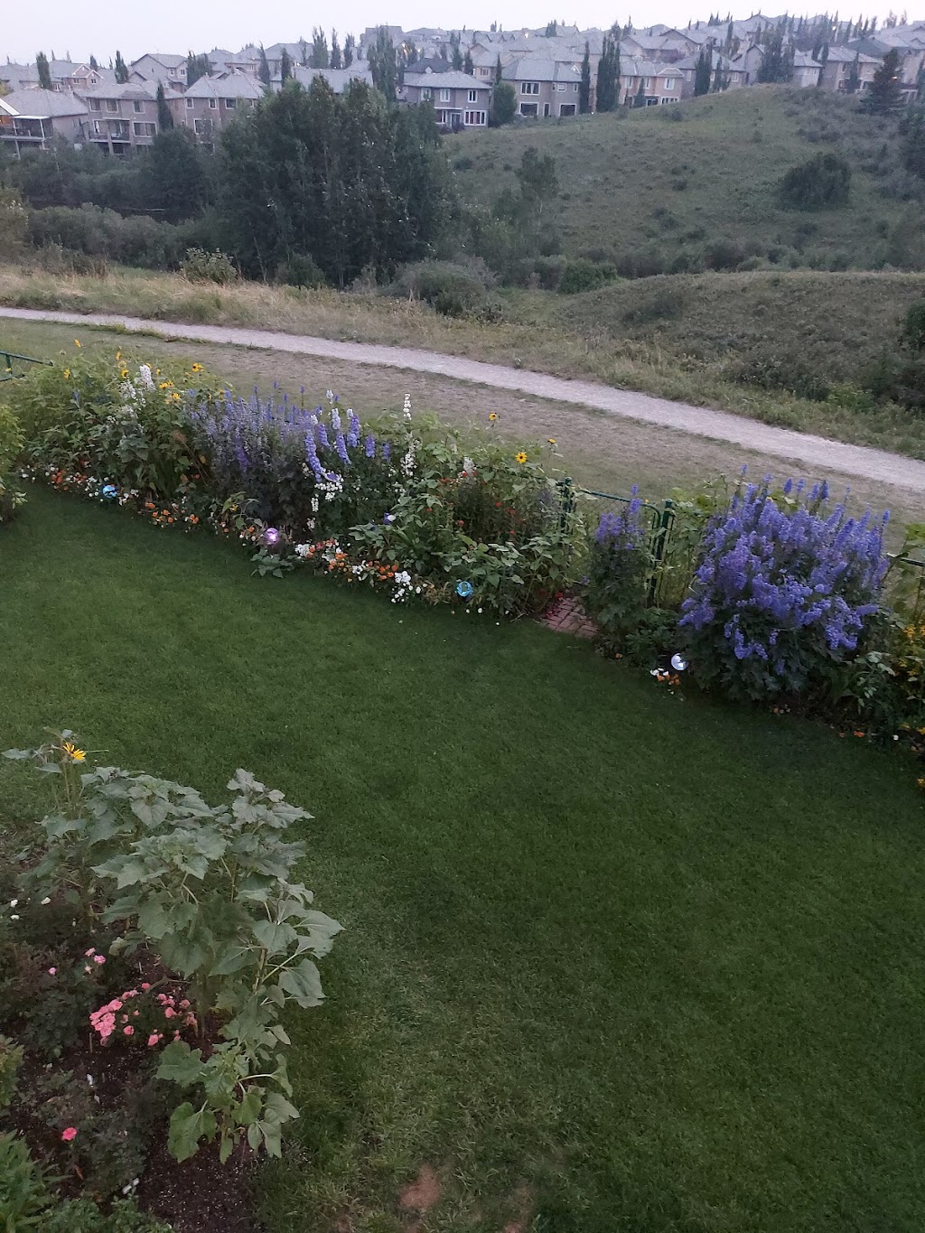 Weed Man Lawn Care | 3637 Manchester Rd SE, Calgary, AB T2G 3Z7, Canada | Phone: (403) 243-5770