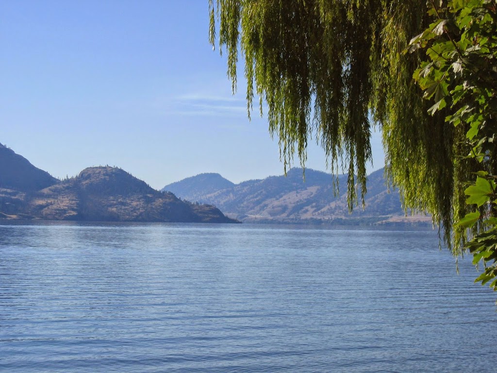Brandon Moase | 1060 Manhattan Dr #100, Kelowna, BC V1Y 9X9, Canada | Phone: (250) 801-8108
