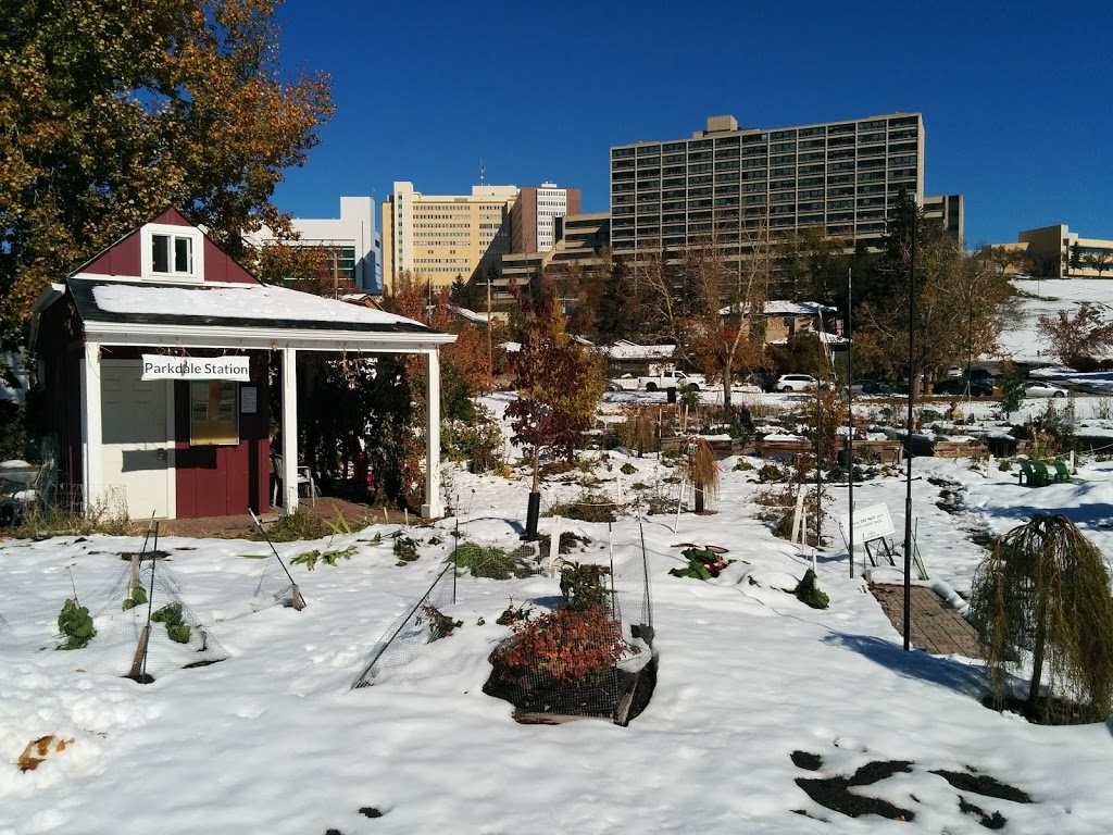Parkdale Park | 3512 5 Ave NW, Calgary, AB T2N 0V7, Canada | Phone: (403) 903-6415