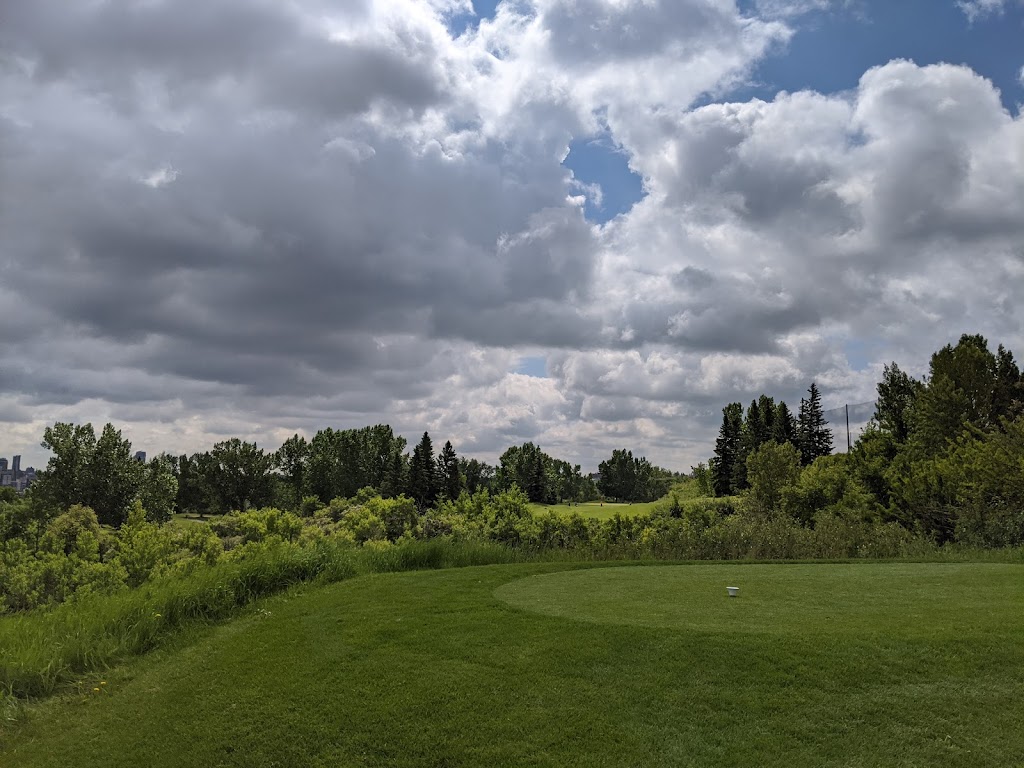 Shaganappi Point Golf Course | 1200 26 St SW, Calgary, AB T3C 1K1, Canada | Phone: (403) 300-1007