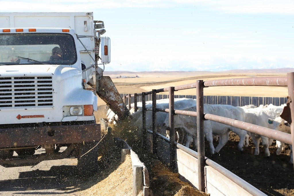 Boss Feeds | Box 316, Cardston, AB T0K 0K0, Canada | Phone: (403) 892-6657