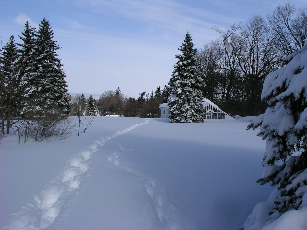 Senneville Town Hall | 35 Ch Senneville, Senneville, QC H9X 1B8, Canada | Phone: (514) 457-6020