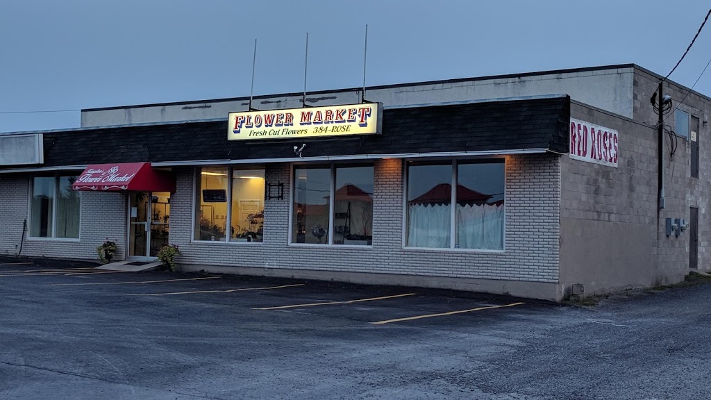 Kingstons Flower Market | C, 2901, Princess St, Kingston, ON K7P 0K3, Canada | Phone: (613) 384-7673