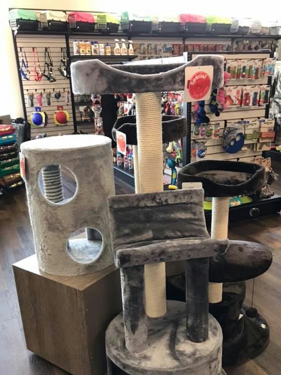 Animo Etc Mirabel, St-Canut | 9061 Route Sir Wilfrid Laurier, Mirabel, QC J7N 1L6, Canada | Phone: (579) 254-0121