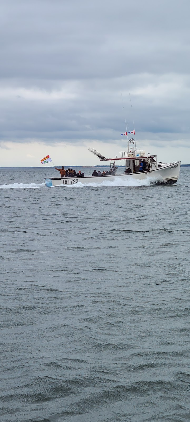 Joeys Deep Sea Fishing | 52 Harbourview Dr, North Rustico, PE C0A 1X0, Canada | Phone: (902) 963-2295