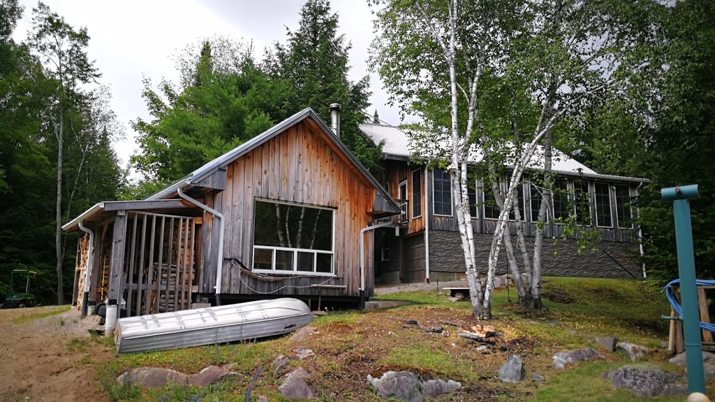 GingerAnne McQueston, Real Estate Broker at BALL Real Estate Inc. Brokerage | 4244 Hwy 7, Norwood, ON K0L 2V0, Canada | Phone: (705) 931-4056