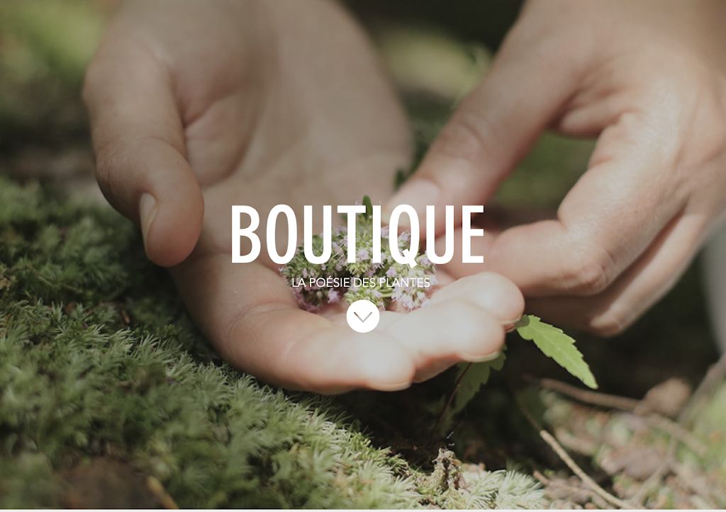 Indyana | 151 Chemin Hatley Ctre, Hatley, QC J0B 2C0, Canada | Phone: (819) 640-3072