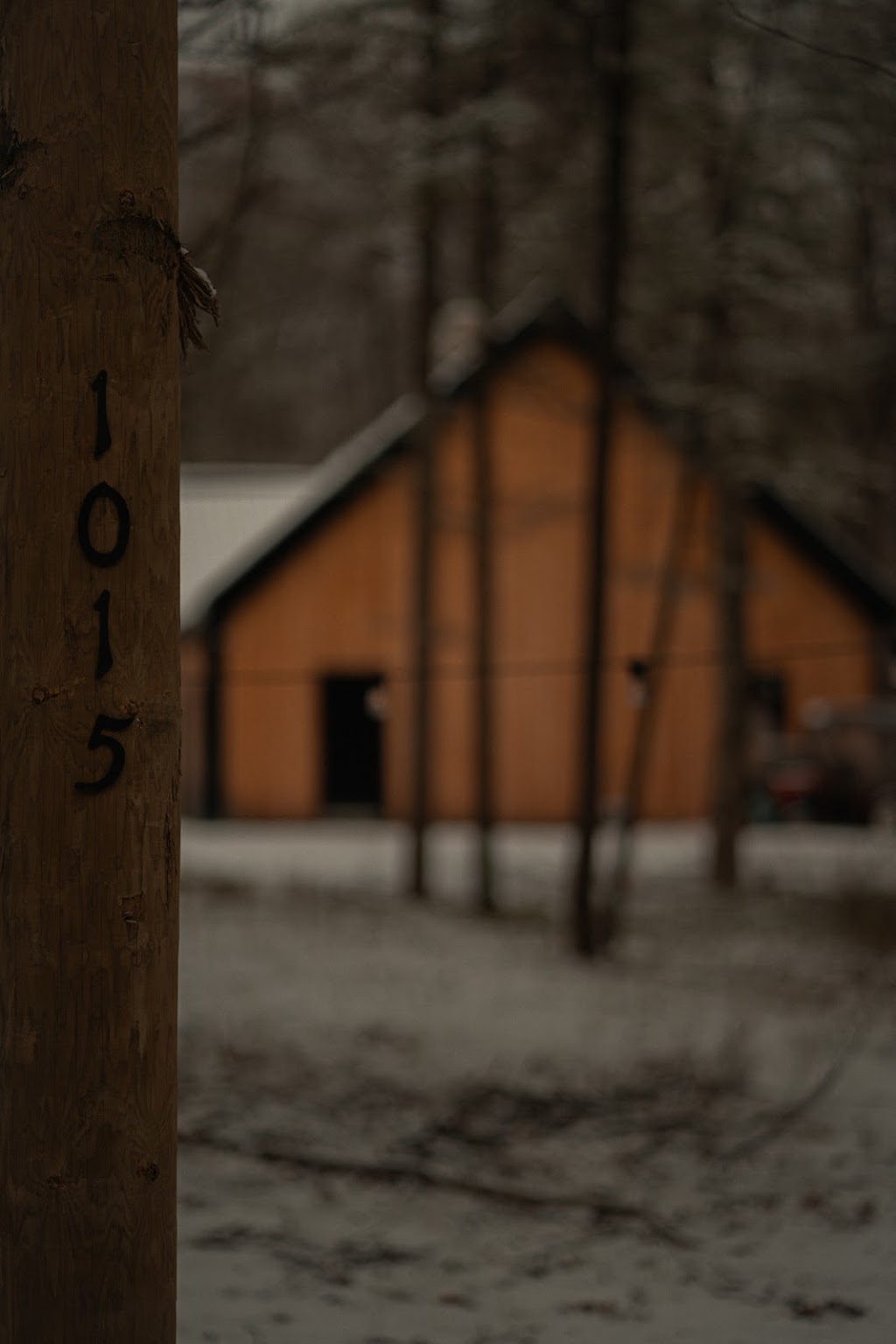 Domaine la belle et la bête | 1015 Côte St Ambroise, Saint-Lin - Laurentides, QC J5M 1H2, Canada | Phone: (514) 882-9303