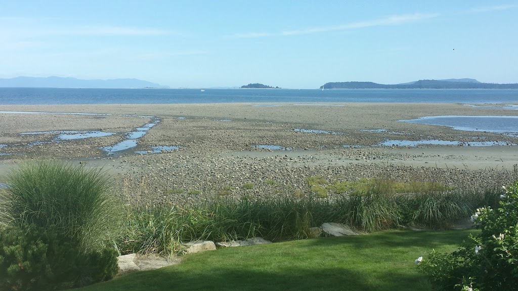 Mikes Driftwood | 4145 Gartley Point Rd, Courtenay, BC V9N 9T3, Canada | Phone: (250) 702-2164