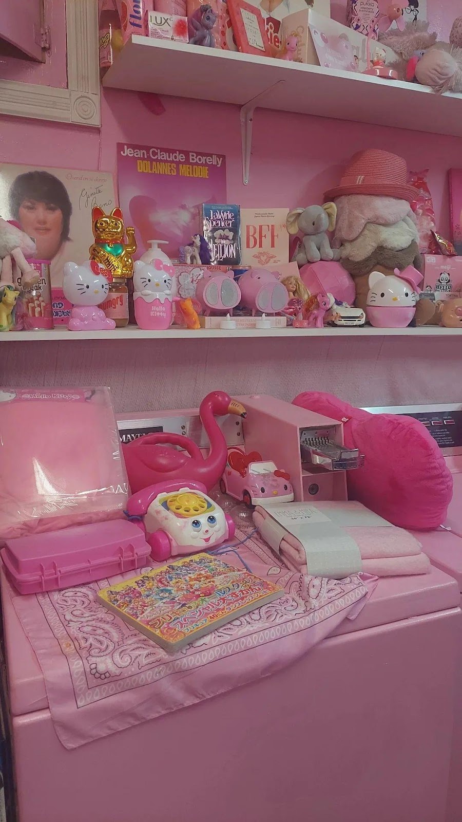 Chez Pinkita | 75 Av. Fairmount O, Montréal, QC H2T 2M3, Canada | Phone: (514) 654-4797