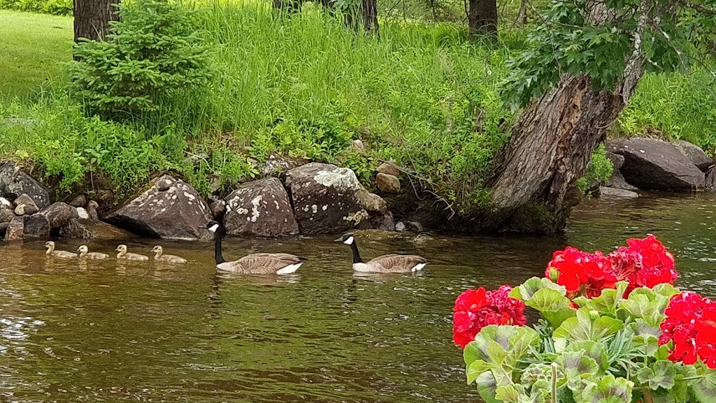 Swallowdale Inn | Roe Rd, Huntsville, ON P1H 0A5, Canada | Phone: (705) 783-5225
