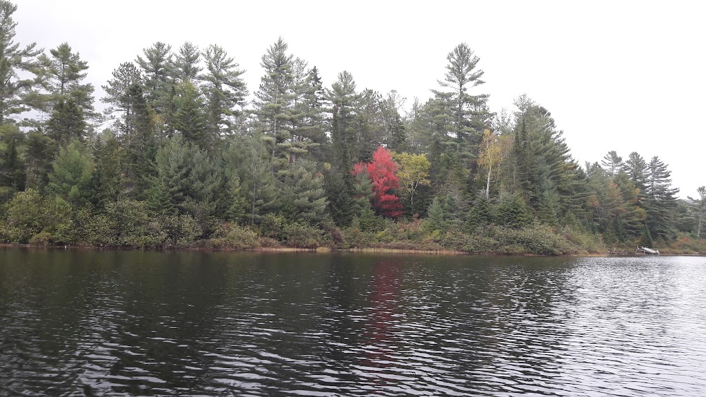 Aventure Vent Et Rivière | 60 2e Rue, Grandes-Piles, QC G0X 1H0, Canada | Phone: (819) 538-3333