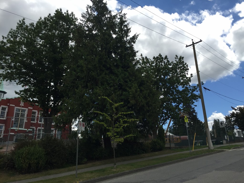 Queen Mary Elementary School | 2000 Trimble St, Vancouver, BC V6R 3Z4, Canada | Phone: (604) 713-5464