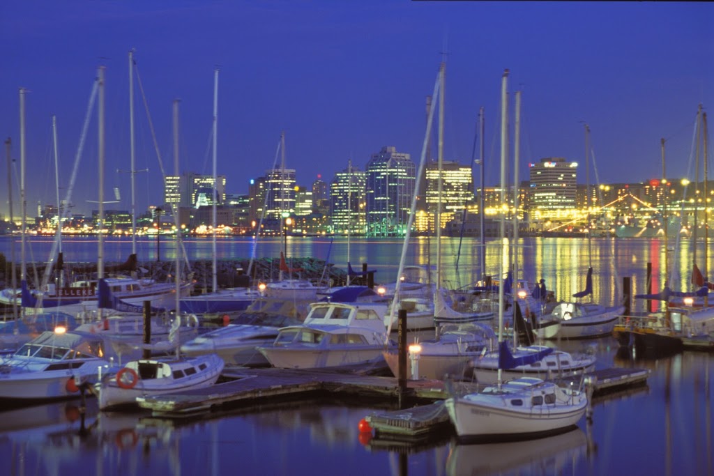 Bloomex Halifax Flowers | 20 Rosedale Dr, Dartmouth, NS B3A 1L8, Canada | Phone: (902) 482-4440
