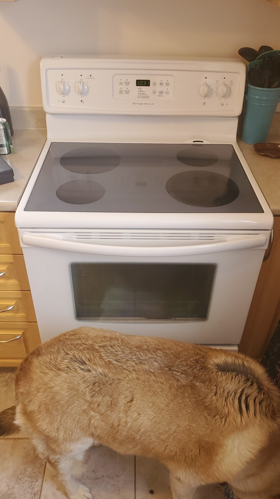 Pembroke Used Appliances | 996 Pembroke St W, Pembroke, ON K8A 5P9, Canada | Phone: (613) 639-8900