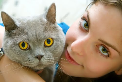 Brentwood Animal Hospital | 185 Ordze Ave, Sherwood Park, AB T8B 1M6, Canada | Phone: (780) 467-4818