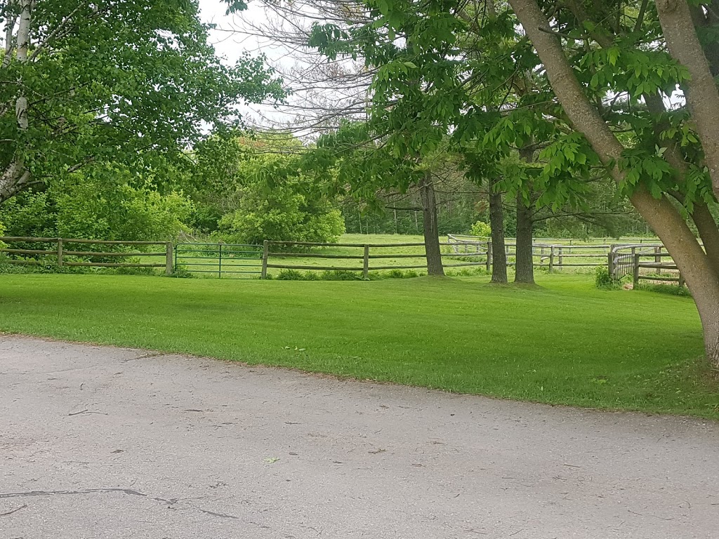 Top Choice Lawn Care | Keswick, ON L4P 3A5, Canada | Phone: (416) 452-4501
