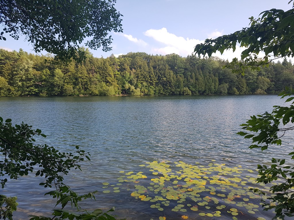 Oak Ridges Trail | Oak Ridges Trail, Richmond Hill, ON L4E 1A4, Canada | Phone: (416) 661-6600
