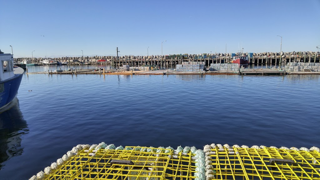 Harbour Authority Of West Head | 93 Boundary St, Clarks Harbour, NS B0W 1P0, Canada | Phone: (902) 745-3134