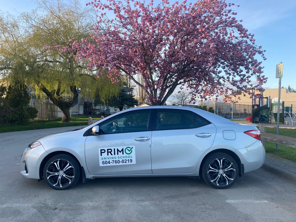 Primo Driving School | 6681 216 St, Langley Twp, BC V2Y 0W9, Canada | Phone: (604) 760-0219