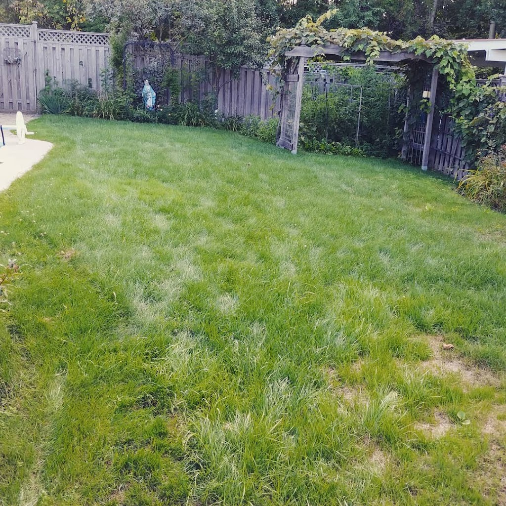 TerraCare Lawn Management | 4535 Southclark Pl Unit A, Gloucester, ON K1T 3V2, Canada | Phone: (613) 791-9980