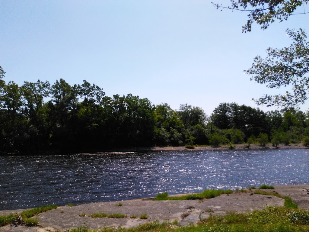 Chaumont Bay Marina | 11599 Circle Dr, Chaumont, NY 13622, USA | Phone: (315) 649-5050