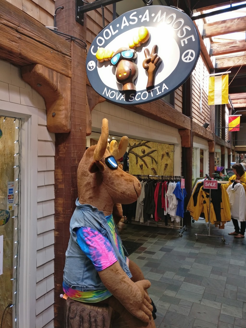 Cool As A Moose | store | 1869 Upper Water St, Halifax, NS B3J 1S9, Canada | 9024235168 OR +1 902-423-5168