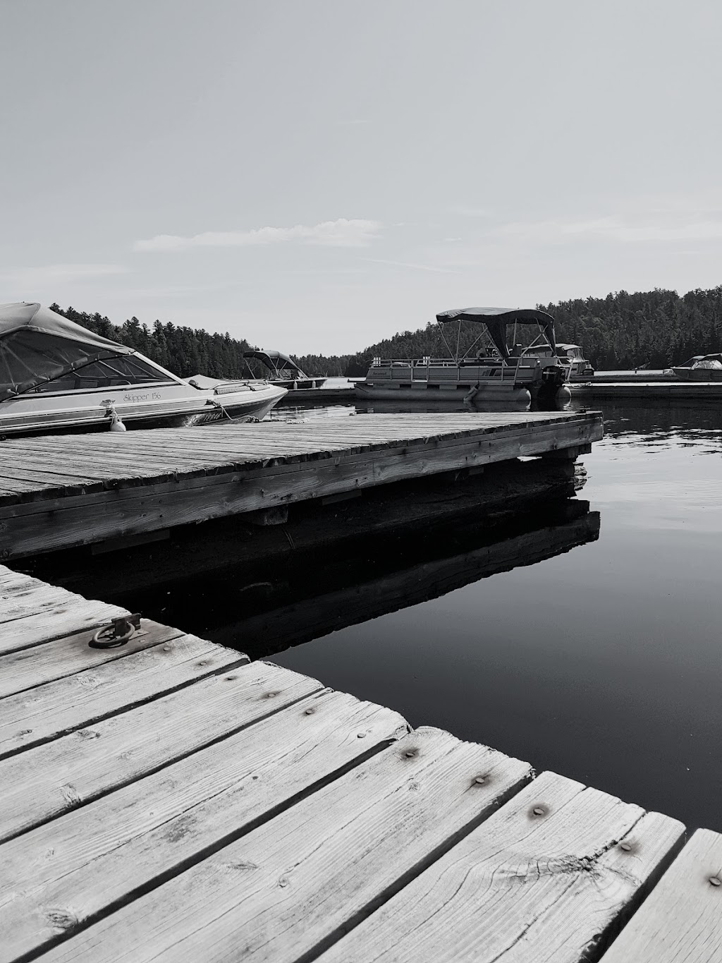 Temagami Boat Livery | 61 Stevens Rd, Temagami, ON P0H 2H0, Canada | Phone: (705) 569-3321