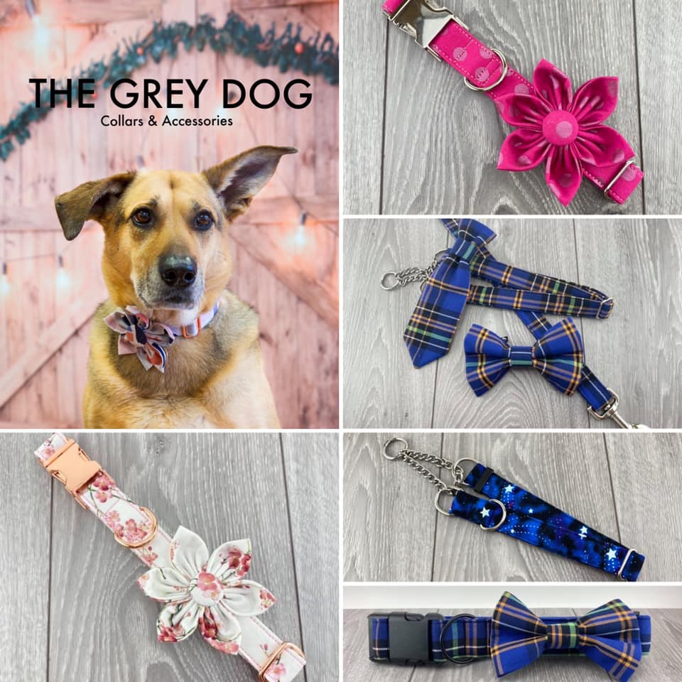 The Grey Dog Collars & Accessories | 8 Sherwood Cresc NW, Calgary, AB T3R 0C7, Canada | Phone: (403) 473-4967