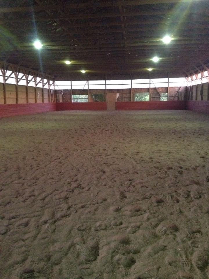 Eddo Hoekstra Dressage | 2833 County Rd 29, Peterborough, ON K9J 6X5, Canada | Phone: (705) 876-9242