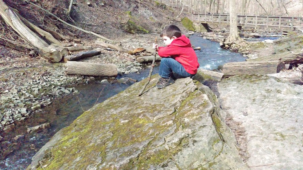 Tiffany Falls Conservation Area | 900 Wilson St E, Hamilton, ON L8S 4K5, Canada | Phone: (905) 525-2181