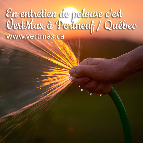 VertMax | 160 Boul Notre Dame, Pont-Rouge, QC G3H 3K7, Canada | Phone: (581) 993-8378