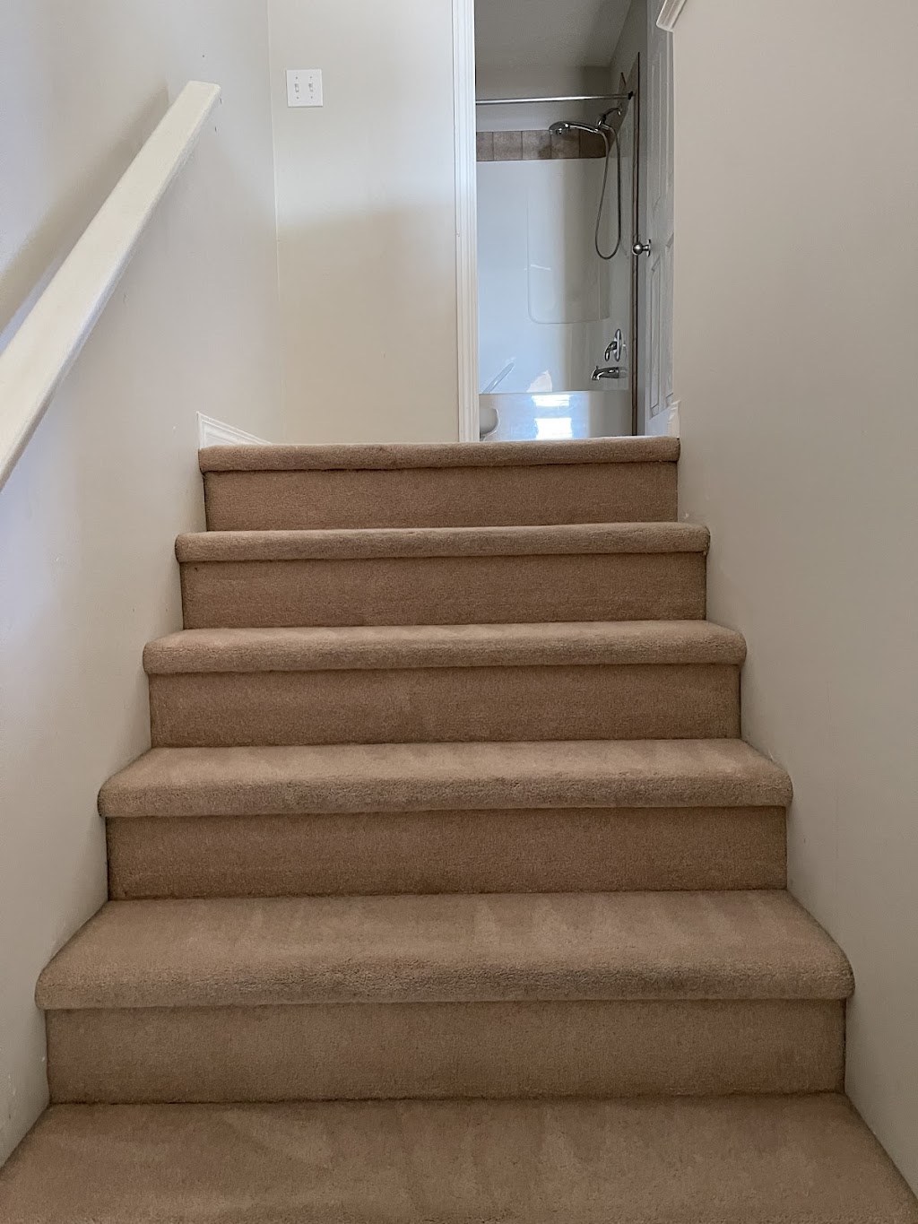 Carpet Plus Cleaning | 2229 Casey Cres SW, Edmonton, AB T6W 3M6, Canada | Phone: (780) 807-0908