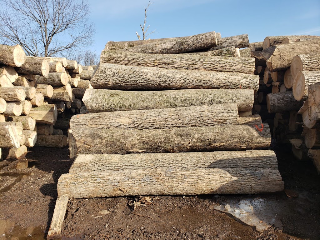 Vk Global Trading Inc. | 33898 Pine St #102, Abbotsford, BC V2S 2P3, Canada | Phone: (604) 746-7901