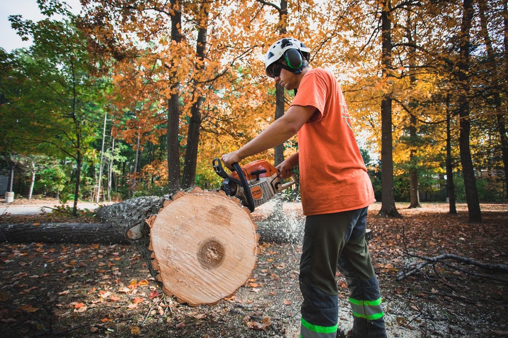 Rockwood Tree Services | 925 Bayly St Unit 28, Pickering, ON L1W 1L4, Canada | Phone: (647) 836-7060
