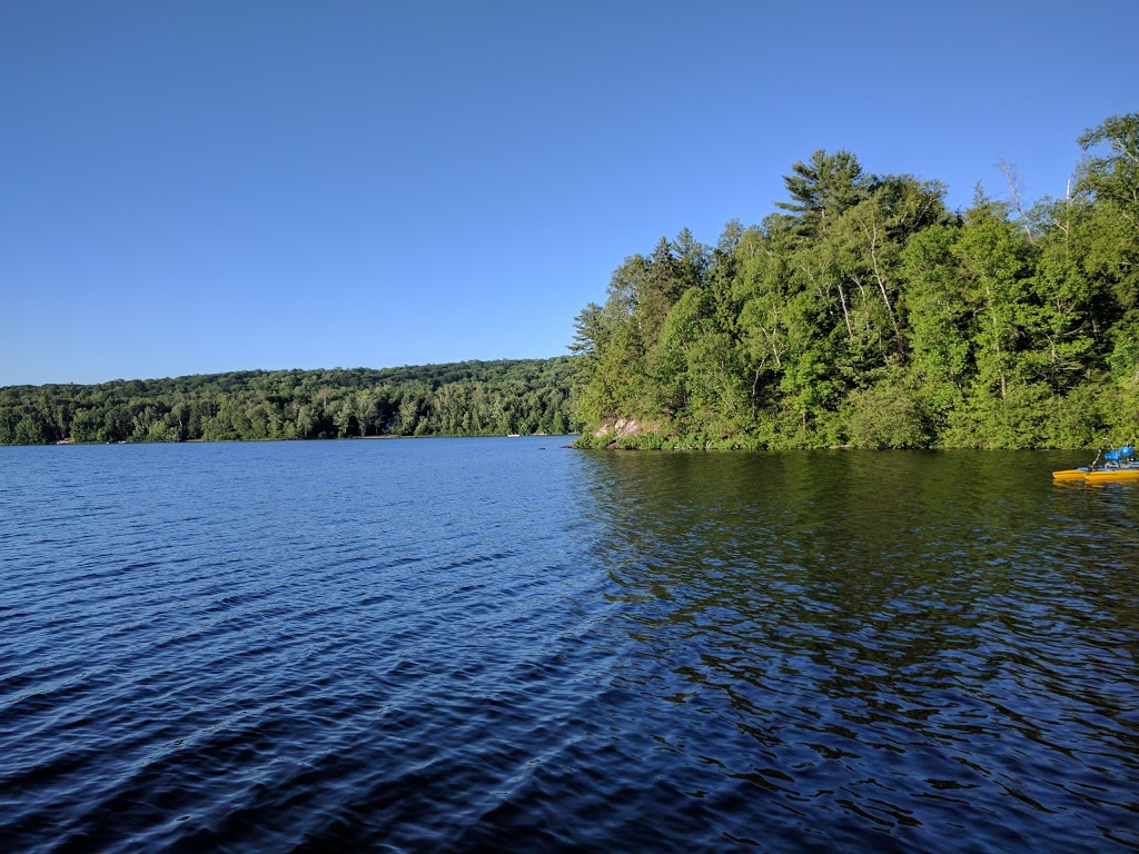 Camp Winnebagoe | 52 E Fox Lake Rd, Huntsville, ON P1H 2J2, Canada | Phone: (705) 789-5892