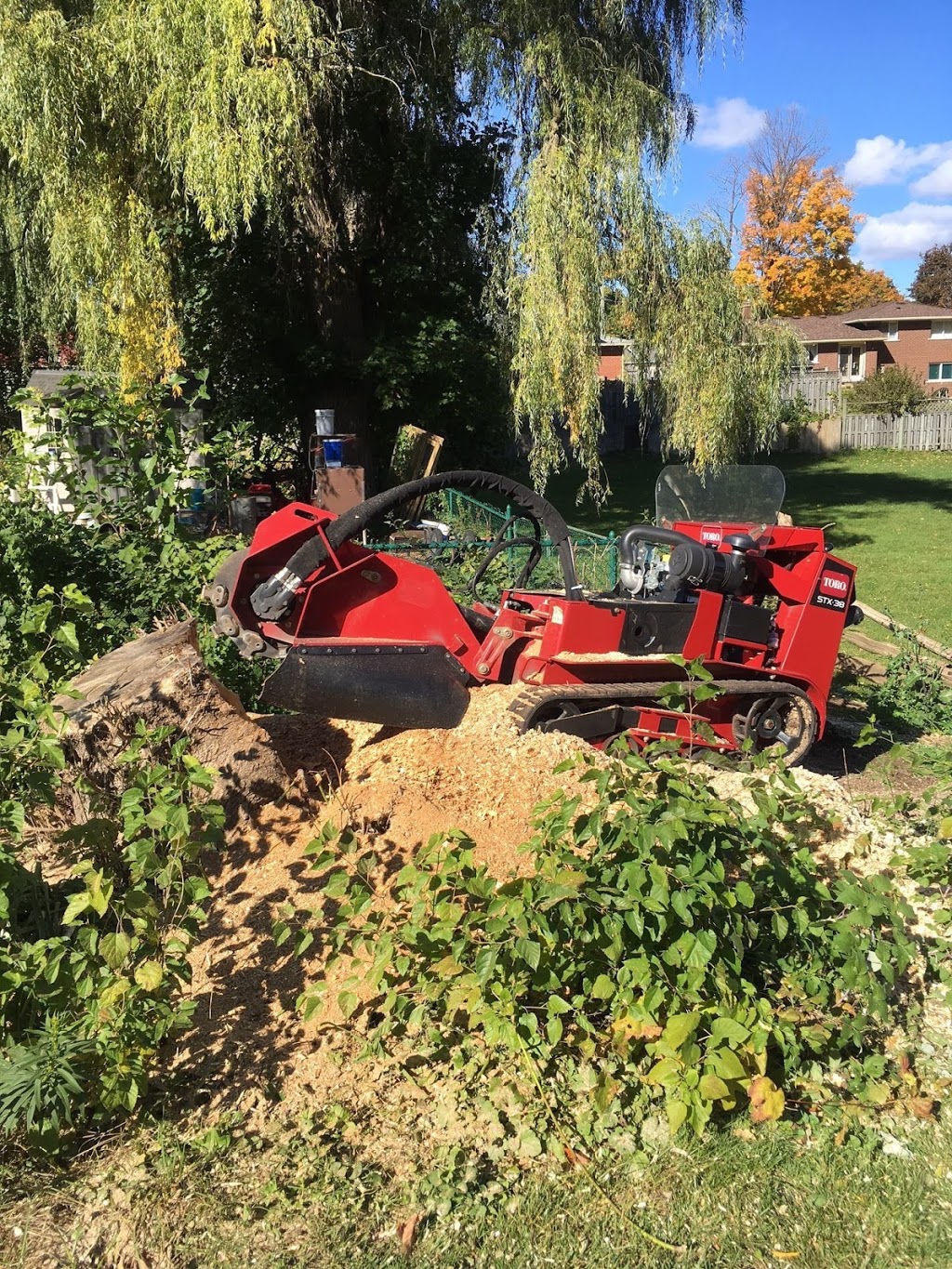 Complete Stump & Tree Removal Inc. | 457 Regency Crescent, Waterloo, ON N2T 1P2, Canada | Phone: (519) 590-8178
