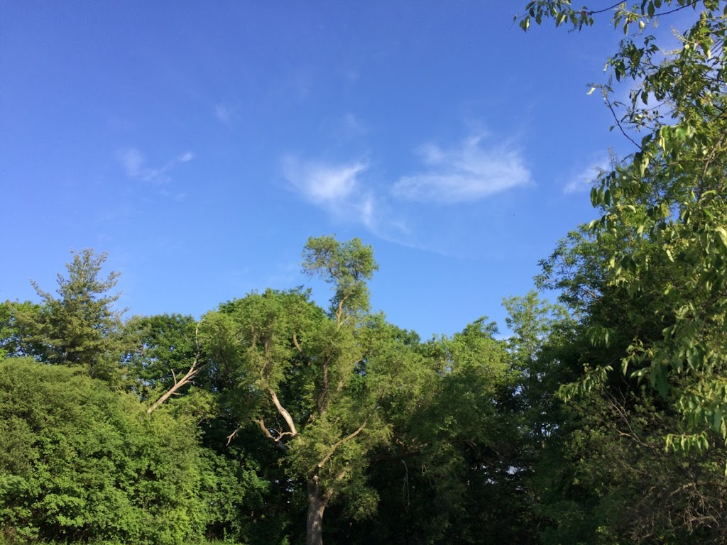 Sunnybrook Park Sports Fields | North York, Toronto, ON M3C 3L7, Canada | Phone: (416) 392-8188