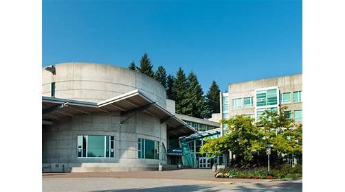 (Commercial Roofer) Detail Roofing | 5700 Timberlea Blvd, Mississauga, ON L4W 5B9, Canada | Phone: (905) 230-2969