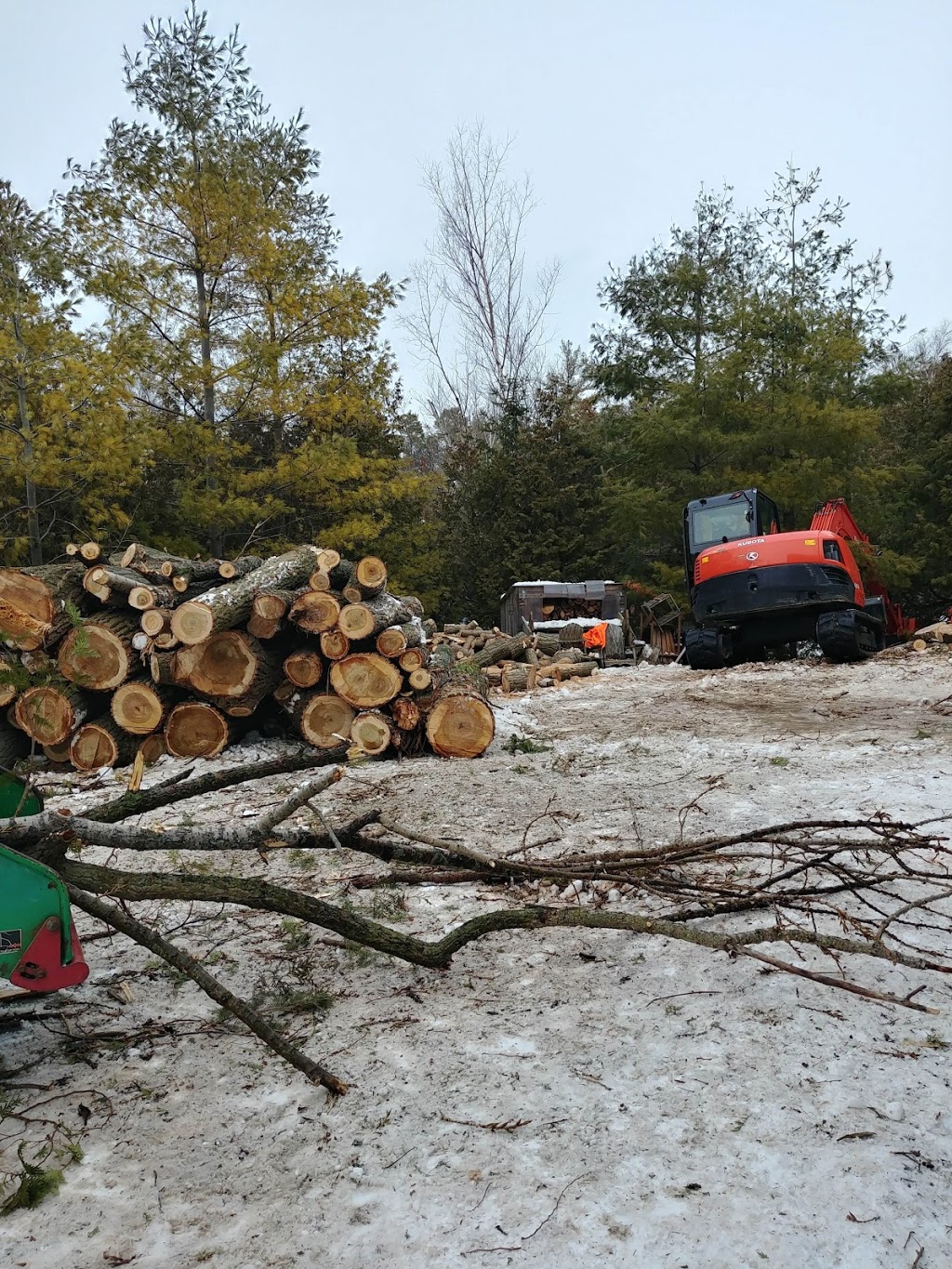 Lakeshore Tree Service | 281 Summerside Pl, Port Elgin, ON N0H 2C2, Canada | Phone: (519) 368-7893