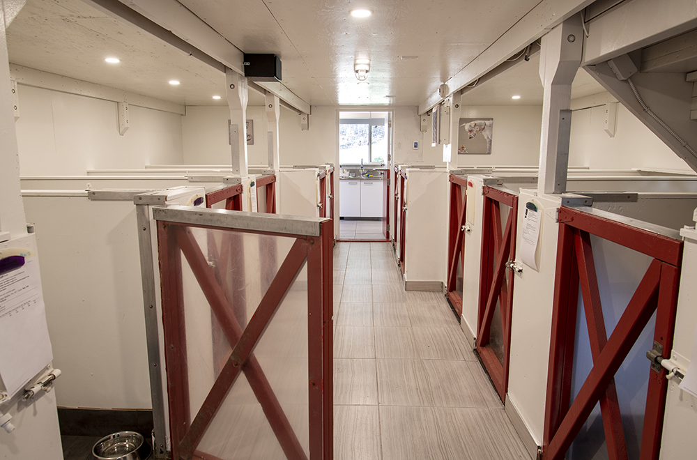 Bowen Island Dog Ranch | 1302 Adams Rd, Bowen Island, BC V0N 1G0, Canada | Phone: (604) 947-6965
