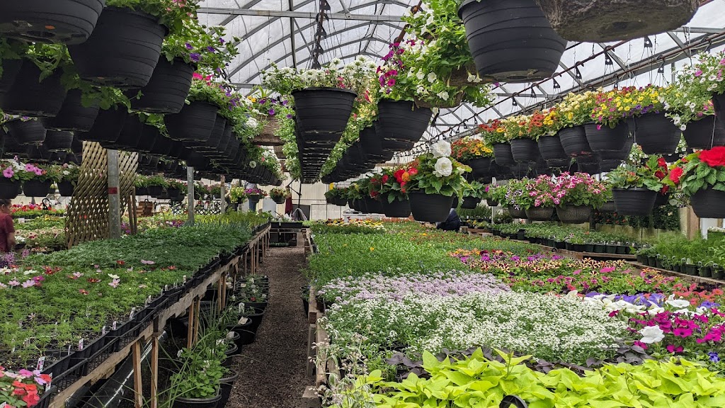 Grays Greenhouse | Addington Forks Rd, Antigonish, NS B2G 2K8, Canada | Phone: (902) 968-1772