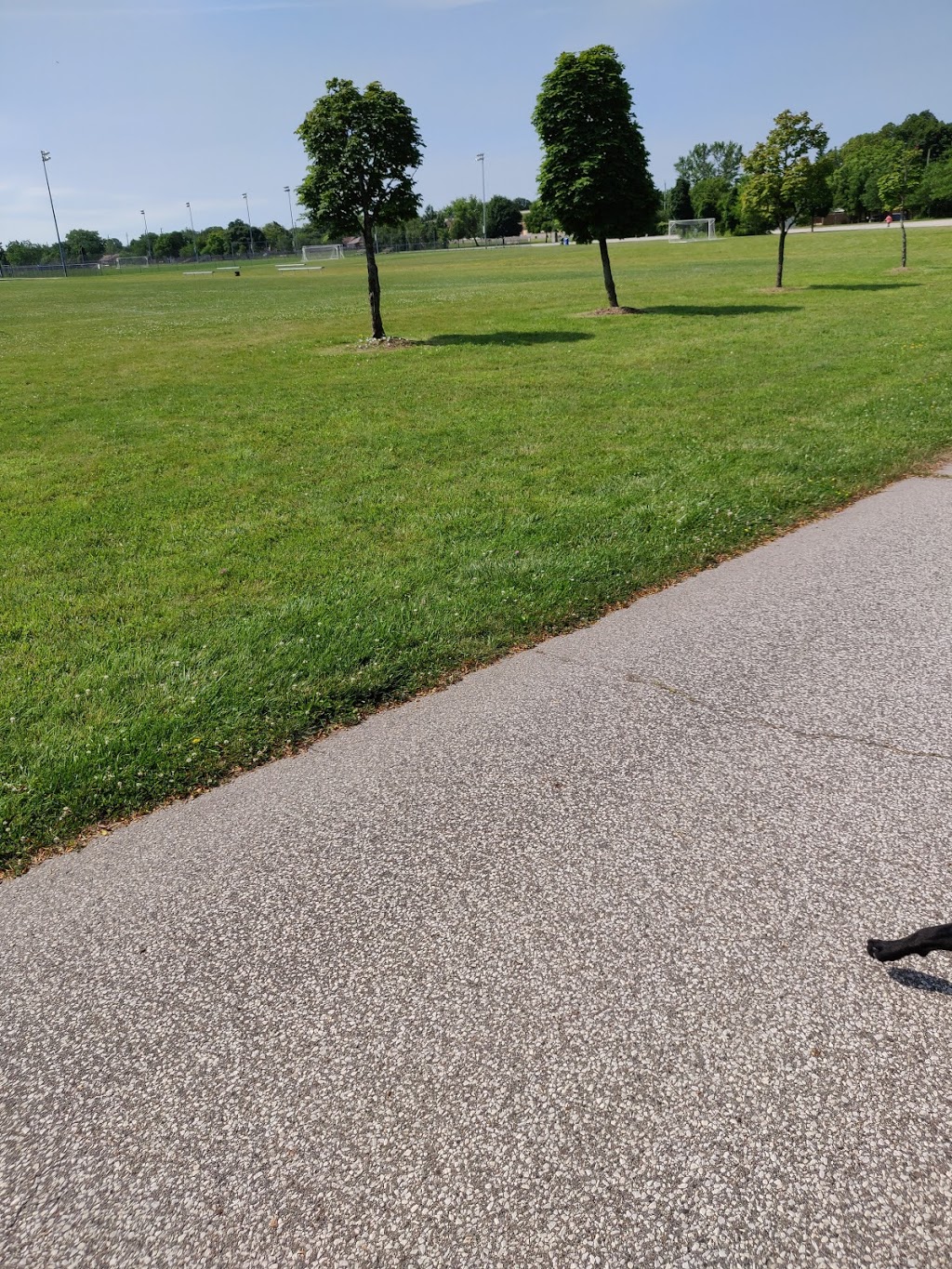 Ford Test Track Park | 3001 Seminole St, Windsor, ON N8Y 1Y3, Canada | Phone: (519) 255-2489