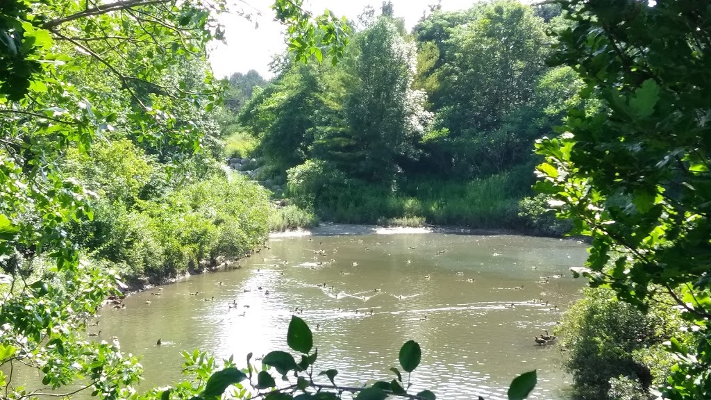 Stormwater Management Area | 25 Fischer-Hallman Rd N, Waterloo, ON N2T 2M9, Canada