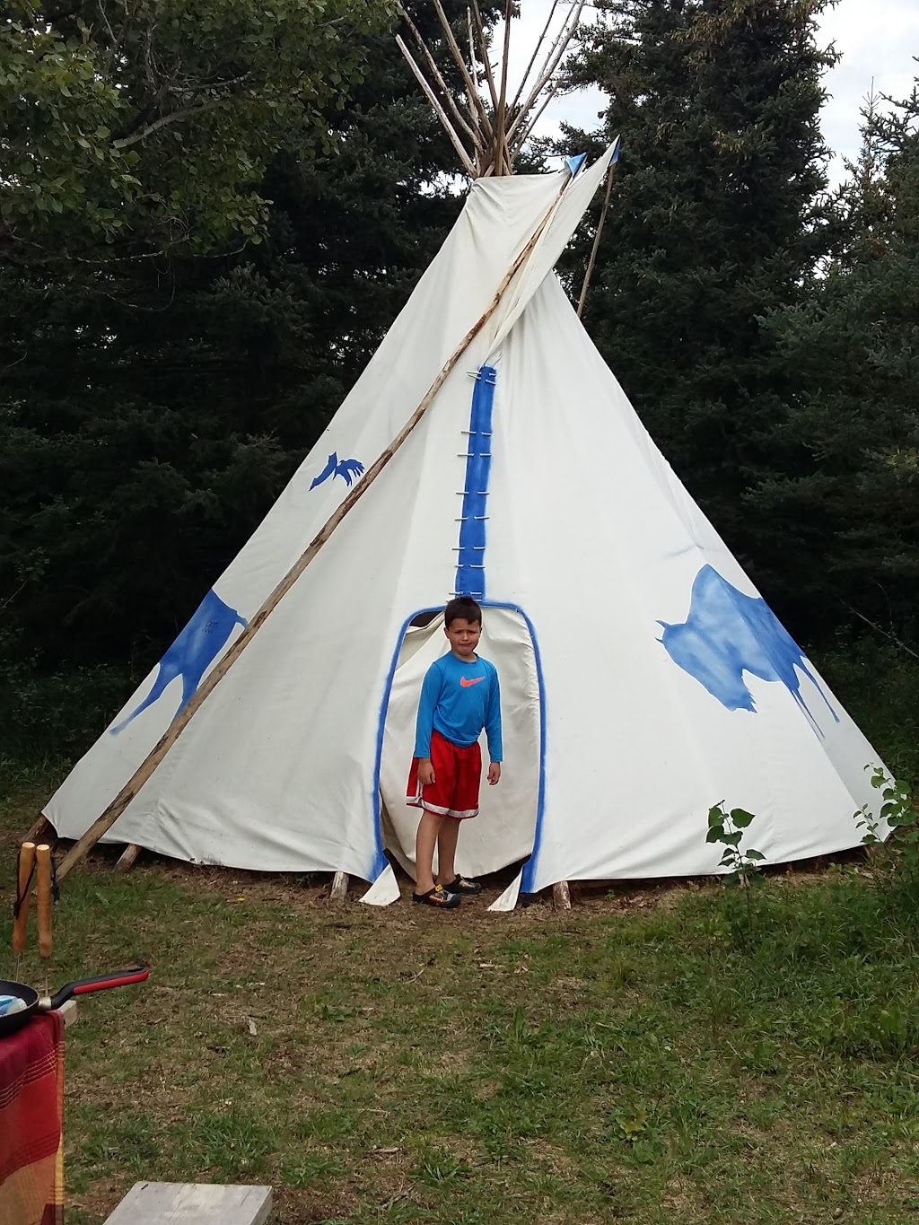 Running Reins Ranch | Red Deer County, AB T0M 1K0, Canada | Phone: (403) 813-5685