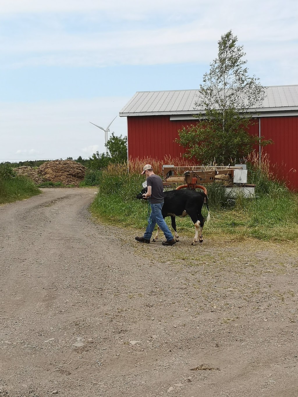 Hilden Farms Ltd | 105 Morgan Rd, Brookfield, NS B0N 1C0, Canada | Phone: (902) 986-7998
