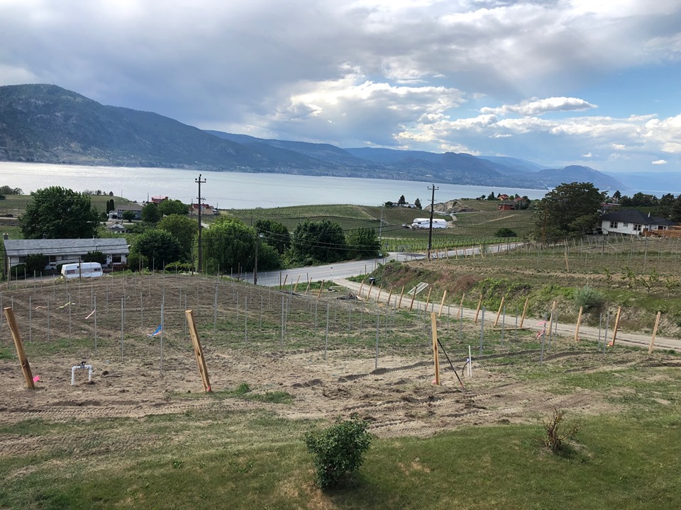 Chain Reaction Vineyard and Vacation Rental | 980 Naramata Rd, Penticton, BC V2A 8V1, Canada