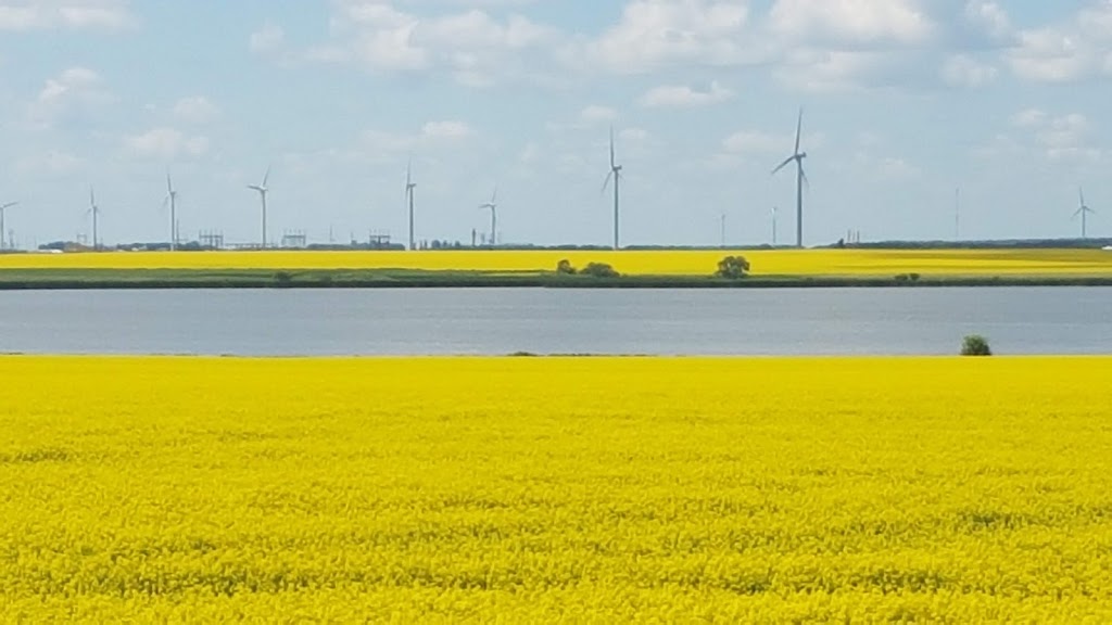 Green leaf farms | Main St, Saint Leon, MB R0G 2E0, Canada | Phone: (204) 801-9993