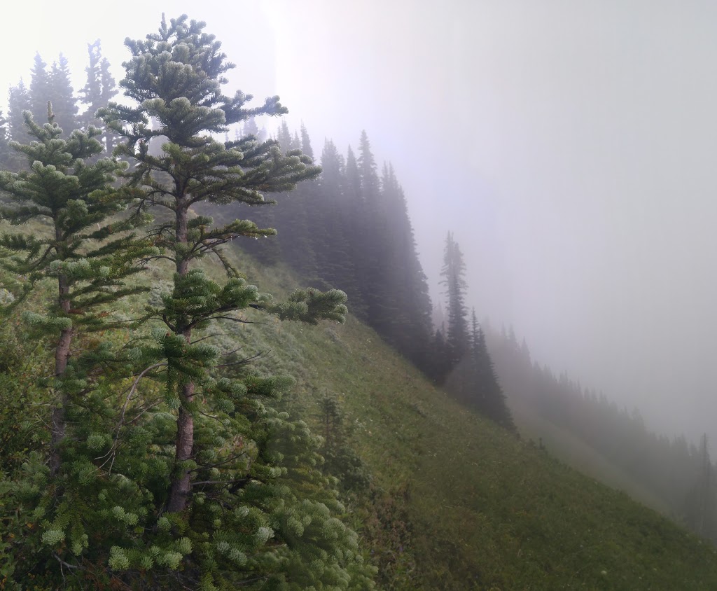 Liumchen Ecological Reserve | Rosedale, BC V0X 1X0, Canada | Phone: (800) 689-9025